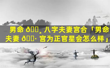 男命 🕸 八字夫妻宫合「男命夫妻 🌷 宫为正官星会怎么样」